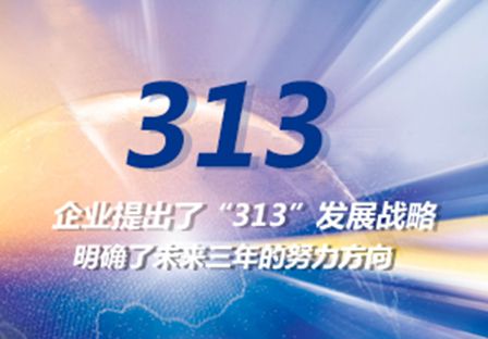 The enterprise devised the “313” development strategy
Made clear the developing direction in the next FAWDE three years